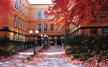 Faites briller la lumière : l'école de langues IALC ILI du Massachusetts propose des cours d'anglais gratuits aux immigrants et aux réfugiés.
