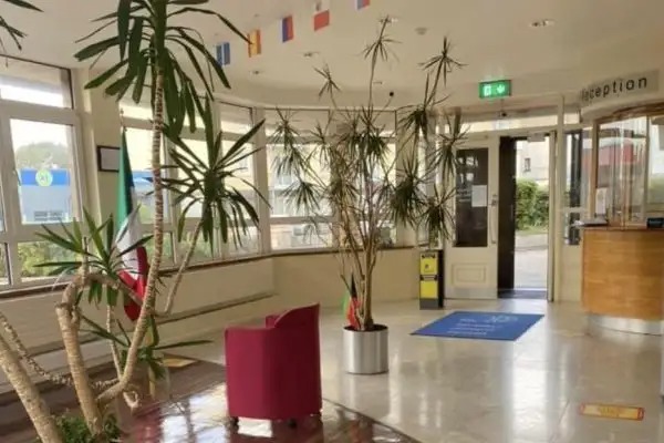 宽敞的大厅内摆放着大型室内植物和几把舒适的座椅。.