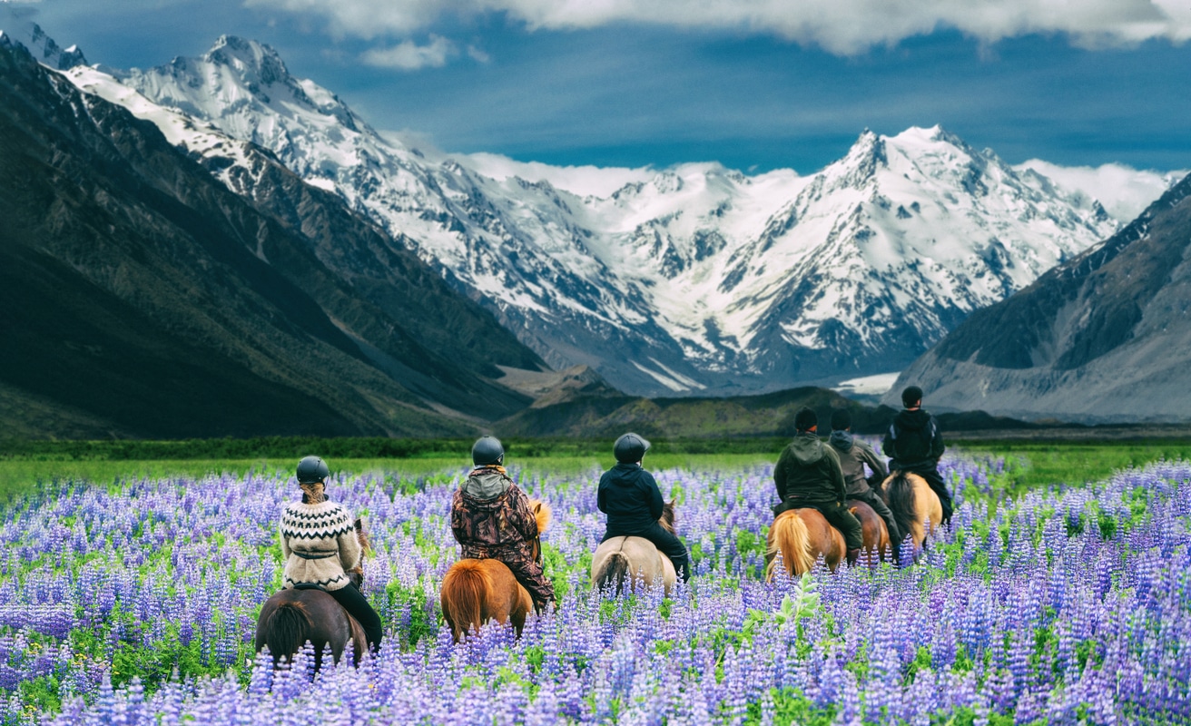 New Zealand