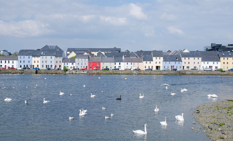 Institut culturel de Galway